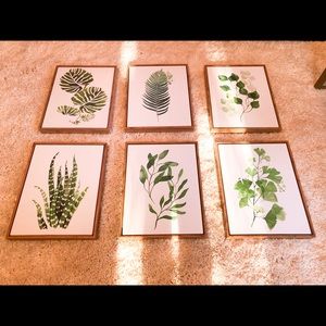 NEW! Framed Botanical Prints - Set of 6